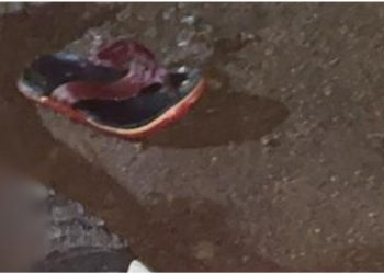 Vídeo: Motociclista m0rr3 após bater a cabeça na pista em acident3 no interior do Amazonas