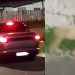 Motorista gera revolta após mat4r cachorro atr0pelado em Itacoatiara; ele fugiu em seguida