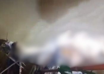 Dentro de igarapé, corpo em dec0mposição é achado no Santa Etelvina; vítima estava deg0lad4