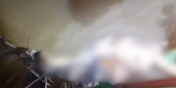 Dentro de igarapé, corpo em dec0mposição é achado no Santa Etelvina; vítima estava deg0lad4