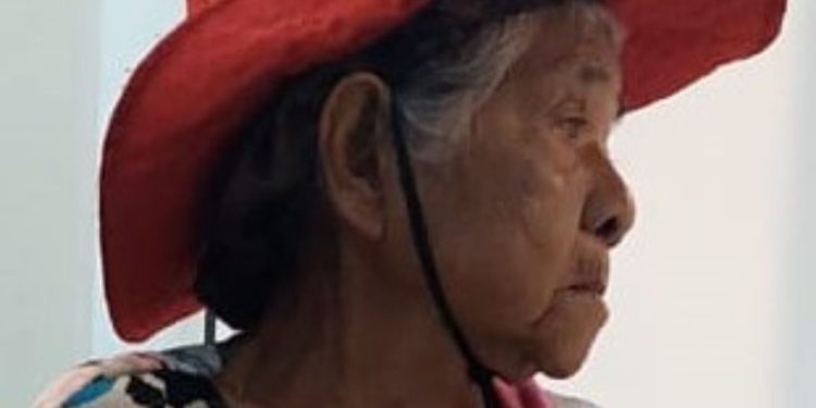Família vai à delegacia após idosa de 82 anos desaparecer no Amazonas