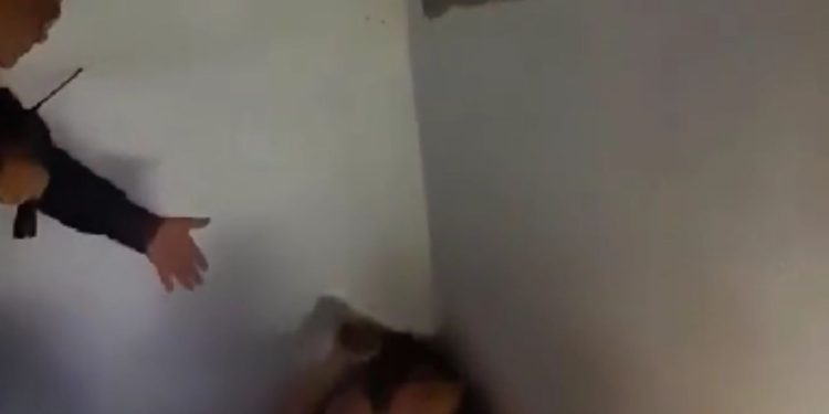 Vídeo: Homem é preso após manter o filho refém no Novo Israel