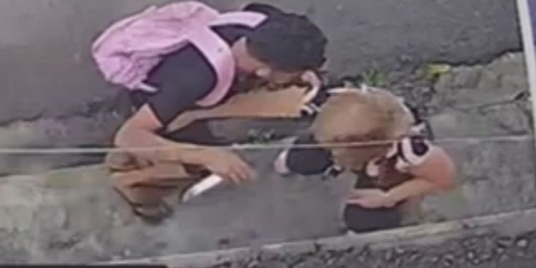 Bandido quase crava f4ca em idosa ao tentar roub4r o celular dela em Manaus; veja o vídeo