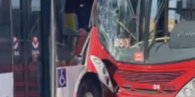 Vídeo: Dentro do T5, motorista da linha 650 colide em outro ônibus: 'Olha essa merenda'