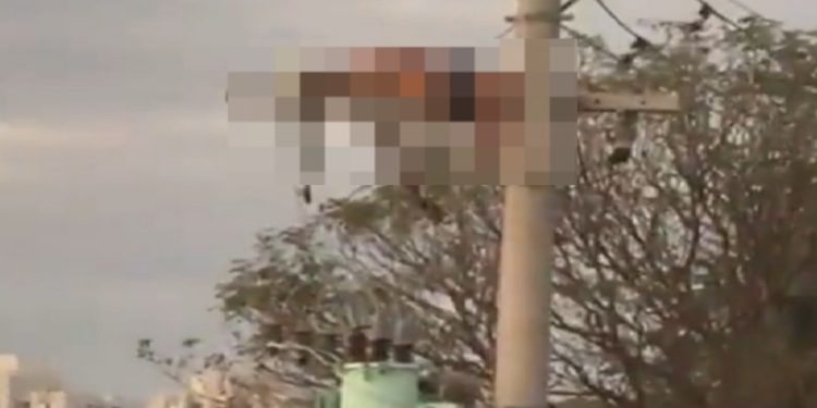 Vídeo forte: veja momento em que ladrã0 tenta arrancar fios do poste e m0rre de ch0que