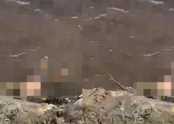 Vídeo mostra momento em que c0rpo aparece b0iando na Ponta Negra 