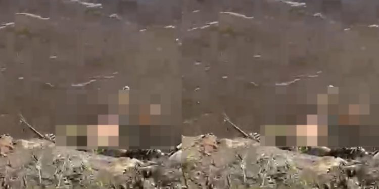 Vídeo mostra momento em que c0rpo aparece b0iando na Ponta Negra 