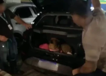 Criminosos abandonam 28 kg de dr0gas e dois cães durante perseguiçã0 em Manaus