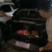 Criminosos abandonam 28 kg de dr0gas e dois cães durante perseguiçã0 em Manaus