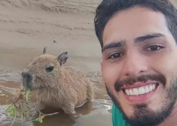 Deputado quer legalizar criação de animal Silvestre em casa e criar a “Lei Agenor Tupinambá’ 