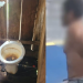 ‘Gritava de dor’, diz delegado sobre idosa de 98 anos e$tuprada e r0ubada pelo filho em Manacapuru