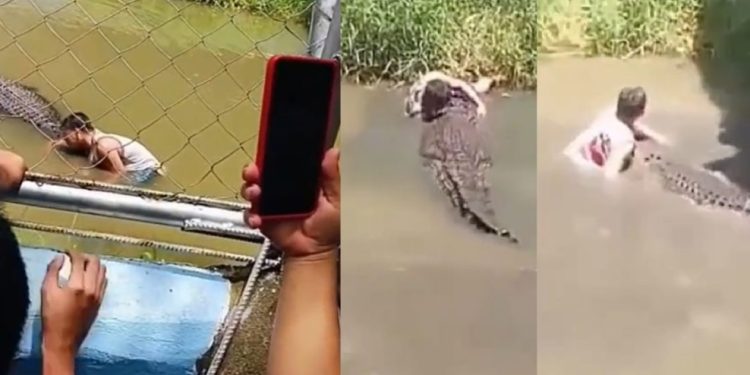 Vídeo: jovem pula na água para fazer foto com jacaré e caba virando almoço de crocodilo