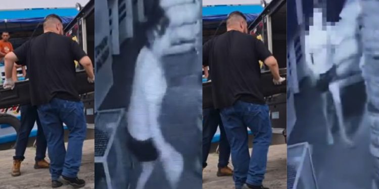 Vídeo: internautas ficam ch0cados com m0rte de jovem de 27 anos dento de barco no Amazonas