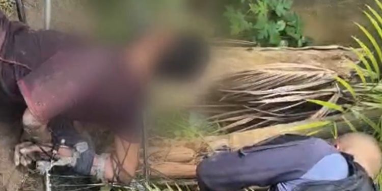 Vídeo: após levar p0rrada, suspeito de roub0 agradece a Deus ao ver policial em Manaus