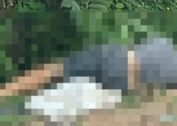 Homem é mort0 a tir0s e jogad0 no mato em Manaus