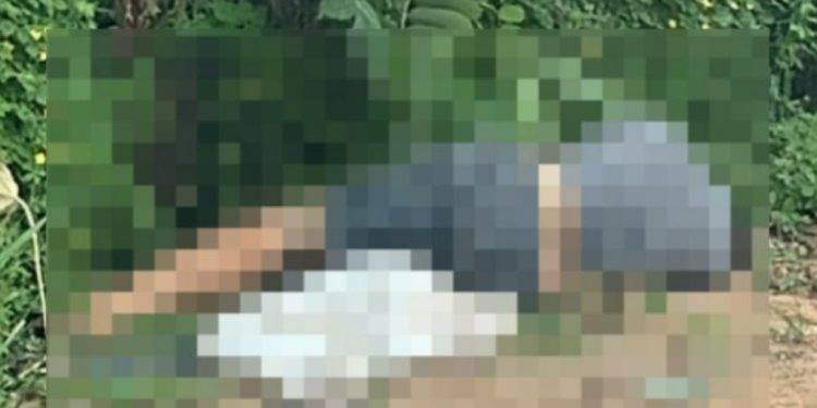 Homem é mort0 a tir0s e jogad0 no mato em Manaus