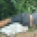 Homem é mort0 a tir0s e jogad0 no mato em Manaus