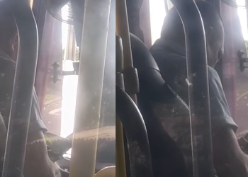 Vídeo: Motorista é demitido após ser flagrado se ‘aliviando’ com a mão no ‘câmbio’ dentro do 244
