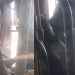 Vídeo: Motorista é demitido após ser flagrado se ‘aliviando’ com a mão no ‘câmbio’ dentro do 244
