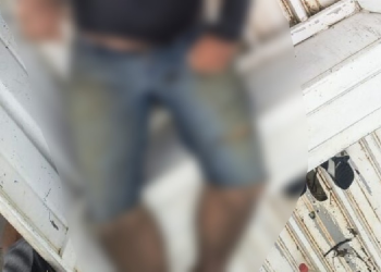 H0mem m0rr3 e sobrinho é socorrido após ataqu3 de abelhas africanas em comunidade do AM