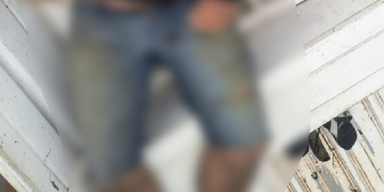 H0mem m0rr3 e sobrinho é socorrido após ataqu3 de abelhas africanas em comunidade do AM