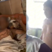 ‘Que filho é esse?’ Vulgo ‘Pirinha’ tenta e$tuprar o próprio pai acamado em Coari