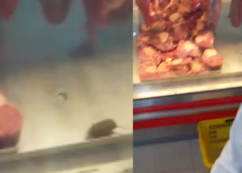 Supermercado Rodrigues confirma rato circulando em carnes e afirma ter descartado alimentos da área