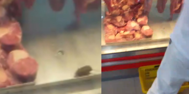 Supermercado Rodrigues confirma rato circulando em carnes e afirma ter descartado alimentos da área