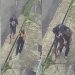 Vídeo: câmera grava momento em que bandid0 armad0 chega assaltand0 mulher em Manaus