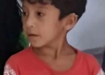 Menino de 7 anos é atacad0 por jacaré no Solimões e desaparece no interior do Amazonas