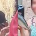 Tio sequestra a sobrinha no Amazonas e desaparece com ela no rio 