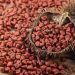 Urucum: região Sul do Brasil reivindica e ganha patente de fruta típica da Amazônia