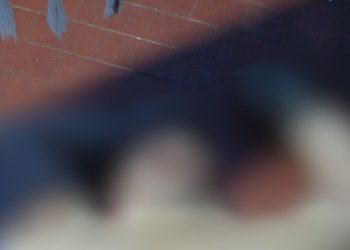 Com 11 tir0s, jovem de 22 anos é m0rt0 após ter residência invadida no São Raimundo; veja