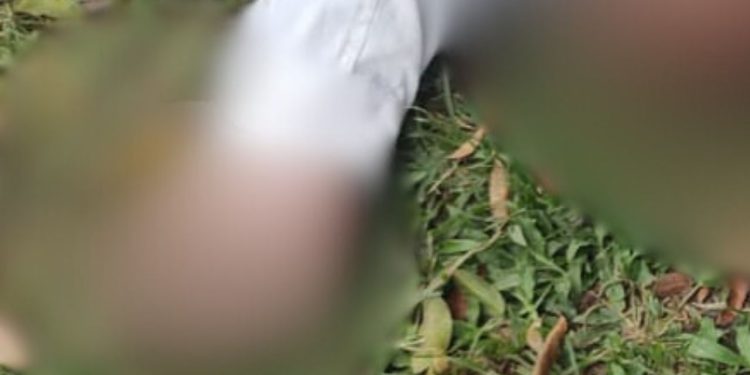 Debaixo de banco idoso é encontrado sem vida misteriosamente em Itacoatiara; veja