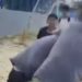 Vídeo: Estudantes brig4m 'no soco' em campo de areia no bairro Novo Israel, em Manaus