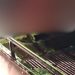 Motociclista é balead0 durante tentativa de assalt0 em Manaus