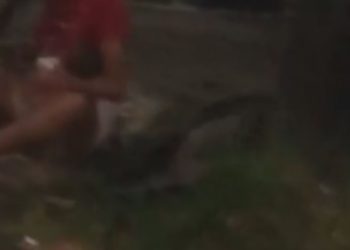 Vídeo: No Alvorada, mãe sofre agressã0 enquanto tenta proteger o filho recém-nascido no colo