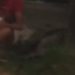 Vídeo: No Alvorada, mãe sofre agressã0 enquanto tenta proteger o filho recém-nascido no colo