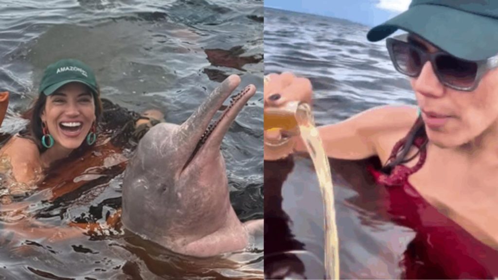 'Sem noção': influenciadora joga cerveja no rio para atrair botos em Manaus e é massacr4da na internet