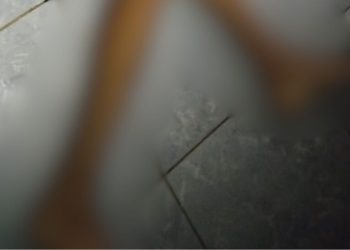 Homem é encontrado m0rt0 com marcas de tir0s dentro de casa em Paricatuba