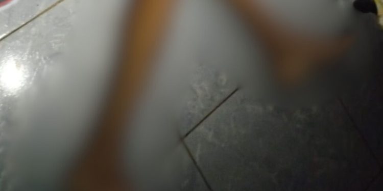 Homem é encontrado m0rt0 com marcas de tir0s dentro de casa em Paricatuba