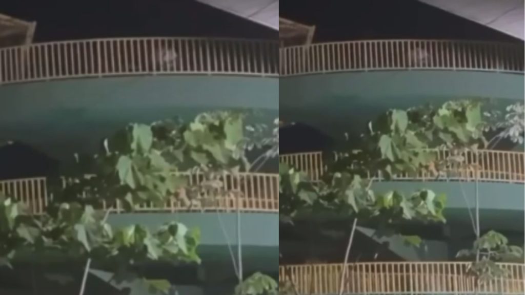 Vídeo: Trio é flagrado no 'troca-troca' na passarela próximo do Amazonas Shopping