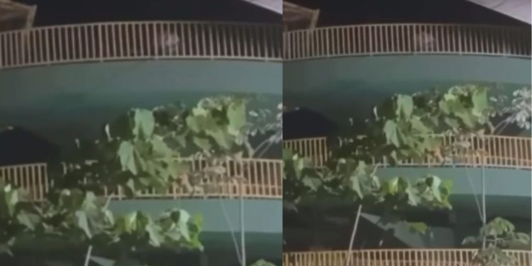 Vídeo: Trio é flagrado no 'troca-troca' na passarela próximo do Amazonas Shopping