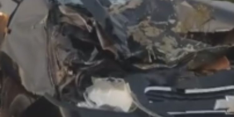 Vídeo: Em Itacoatiara, taxista fica ferid0 ao atr0pelar búfalo que invadiu a pista