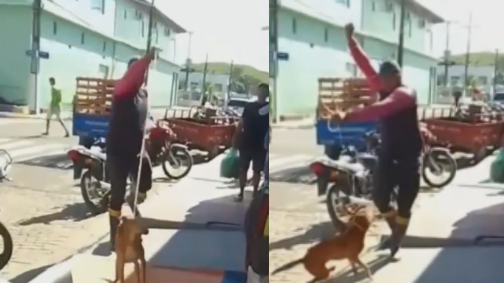 Denúncia: vídeo mostra cachorro sendo laçado como gado no interior do Amazonas