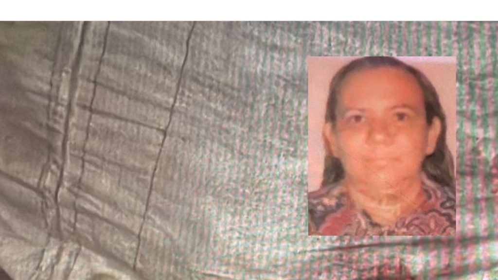Veja: Enteado m4t4 a madrasta e o irmão a fac4das no Jorge Teixeira