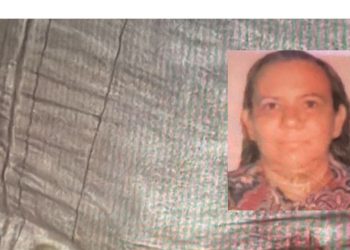 Veja: Enteado m4t4 a madrasta e o irmão a fac4das no Jorge Teixeira