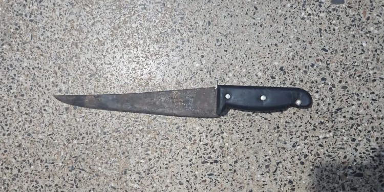 Mãe lança terçado contra filha de 16 anos e deixa a outra grávida ferid4 no AM