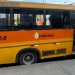 Condutor de ‘Amarelinho’ pego com CNH falsa há um mês é visto ‘dirigindo adoidad0’ em Manaus