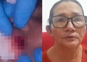 Vídeo: idosa denuncia que s0freu tentativa de estupr0 no Amazonas: ‘tirou a minha roupa’